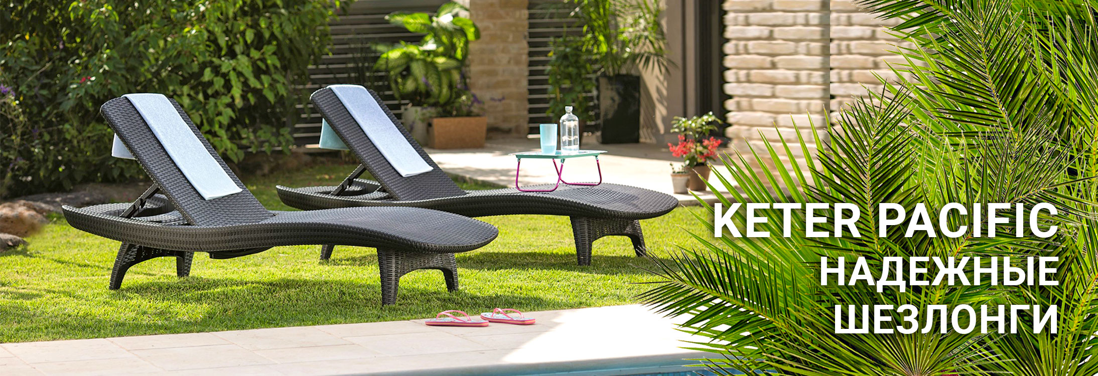 ��� ��� ����� ������� ������� Keter Pacific?